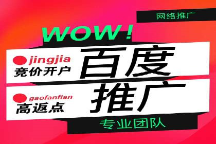 SEM广告投放的技巧与策略——成功案例分享